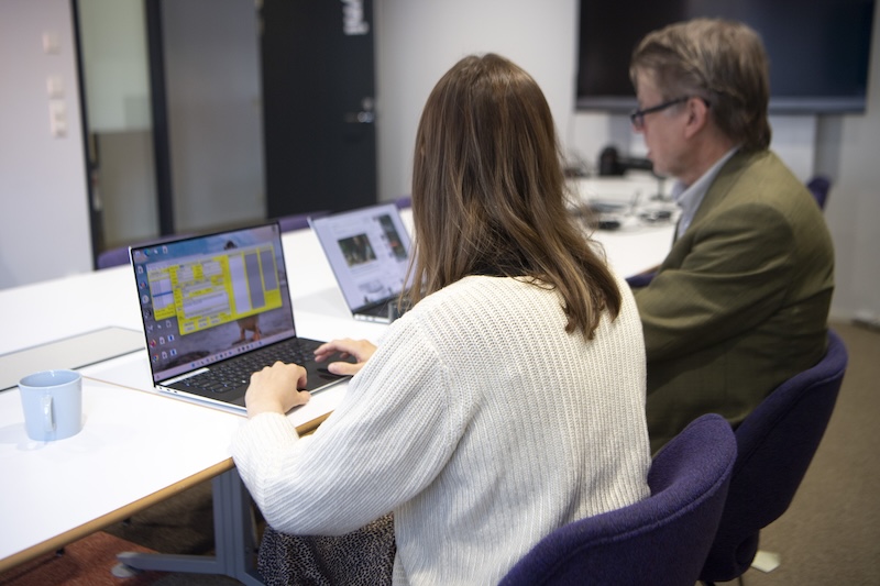 Median pay €3,611 for full-time employees in 2024