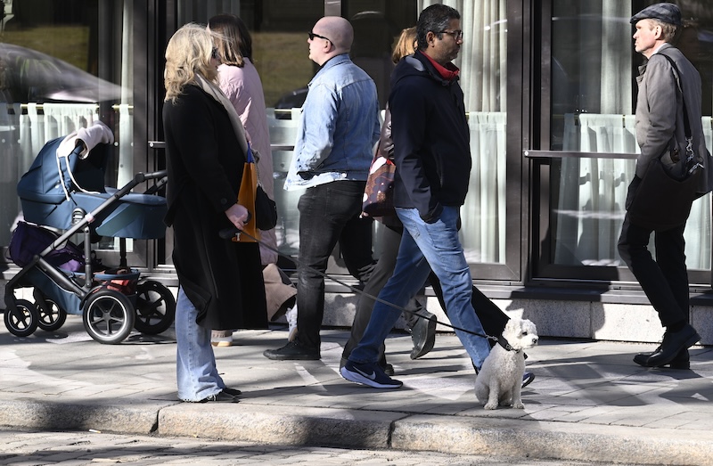 Finland population growth slows after migration surge