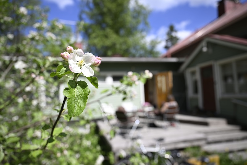 Warm and sunny Midsummer forecast for much of Finland